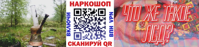 Наркотические вещества Электрогорск COCAIN Бутират Конопля Меф APVP