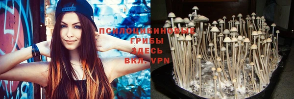 гашик Армянск