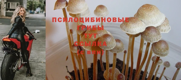 гашик Армянск