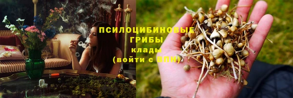мескалин Арсеньев